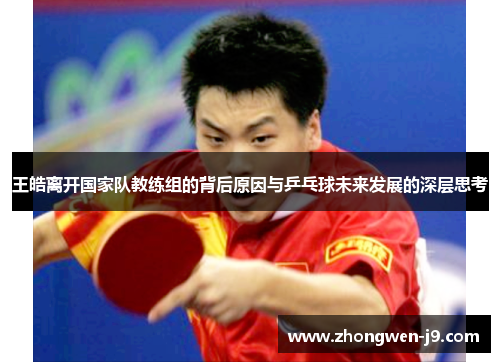 王皓离开国家队教练组的背后原因与乒乓球未来发展的深层思考